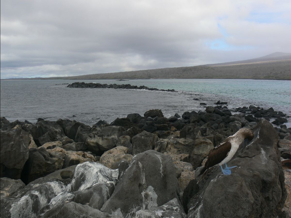 Galapagos Islands23